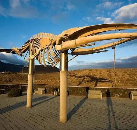 Beautiful 1 Bedroom With Mountain View شقة لوس سيلوس