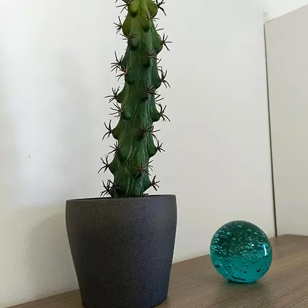 شقة Beautiful 1 Bedroom With Mountain View لوس سيلوس